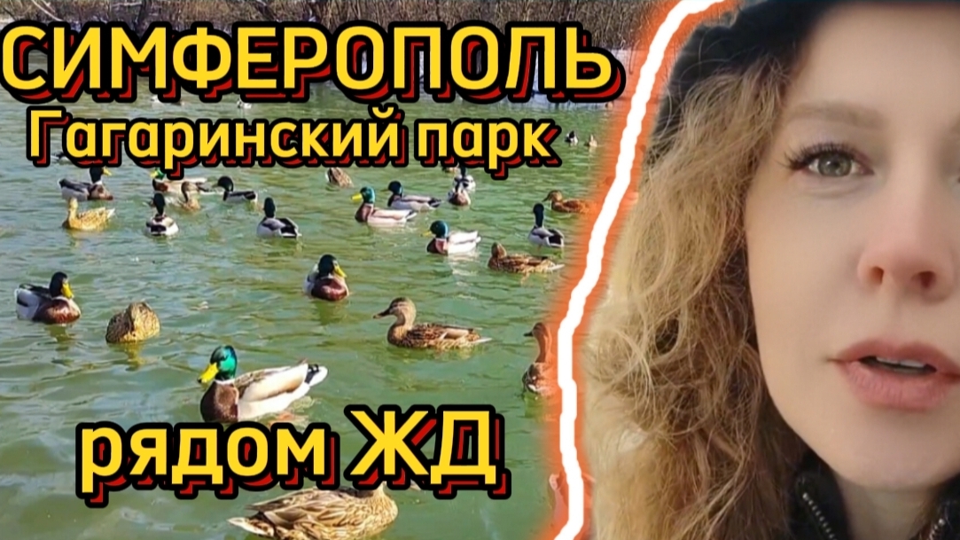 Снежный Симферополь. Что посмотреть рядом с ЖД вокзалом. Гагаринский парк смотреть онлайн