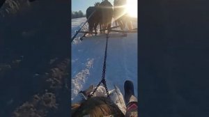 Запрягаем трёх лошадей.Рабочая тройка.