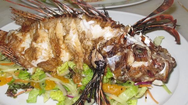 Save the Planet, Eat Lionfish смотреть онлайн