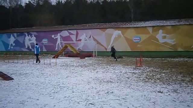 Соревнования 12.11.17 Екатеринбург. Женя и Пончик. А1. 1 трасса смотреть онлайн