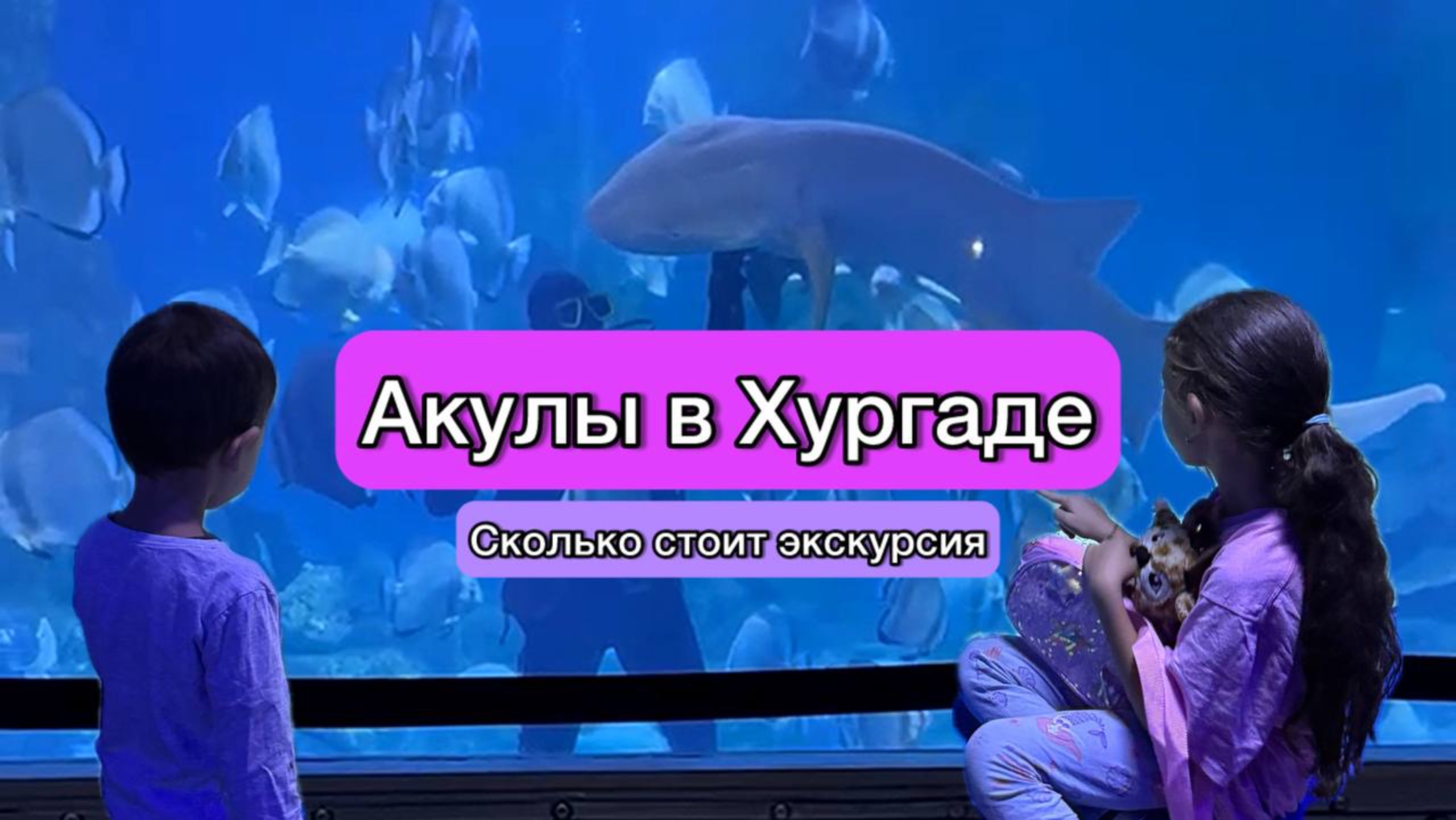 Акулы в Хургаде 🦈 (и не только) Мы посетили Гранд Аквариум и были ошарашены! 😱 смотреть онлайн
