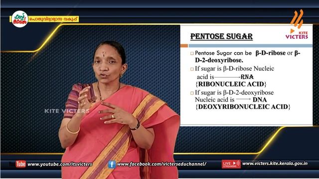 KITE VICTERS Plus Two Chemistry Class 70 (First Bell-ഫസ്റ്റ് ബെല്) смотреть онлайн