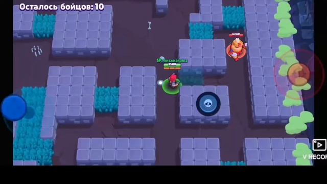 Проверка на крыс в Brawl Stars🐶 смотреть онлайн