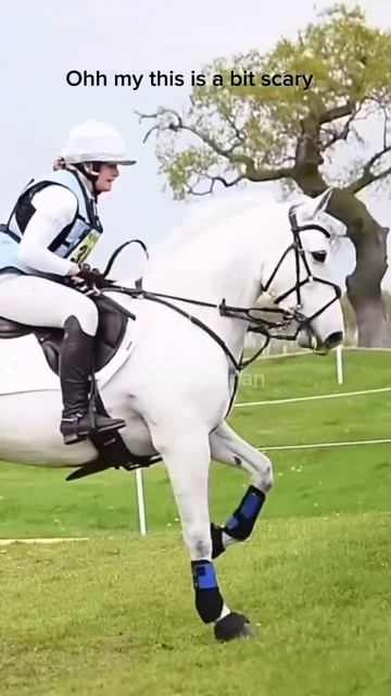 What a horse is thinking, should I make this a series? #horse #equestrian #horseriding#horsejumping смотреть онлайн