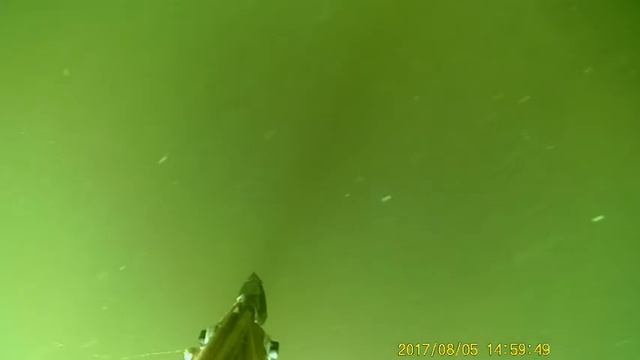 Стайка карасей смотреть онлайн