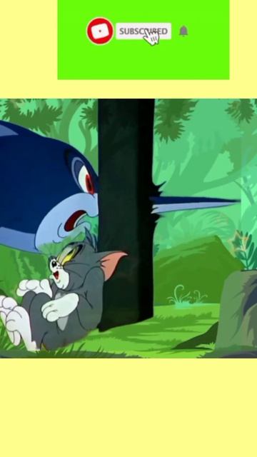 Tom and Jerry shorts #shorts #viral #shortsvideo #viralshorts смотреть онлайн