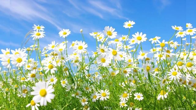 "ТАНЯ, ТАНЕЧКА, ТАНЮША" исполняет автор песни - Татьяна Крошилина смотреть онлайн