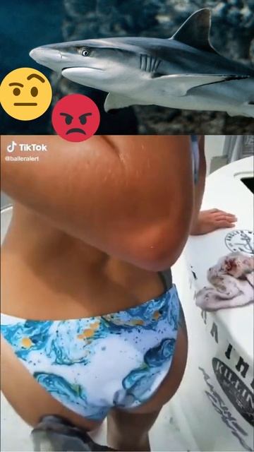Shark hanging on woman's butt #reactionvideo #funnyfails #sharkattack смотреть онлайн