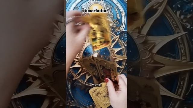 VID_20250212_203816_559.mp4