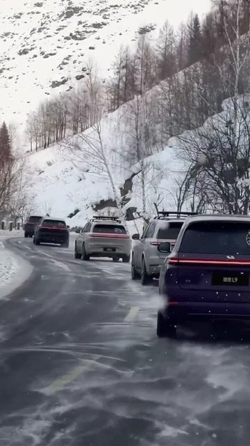 Lixiang L6, L7, L9 – комфорт, статус и безопасность в одной машине