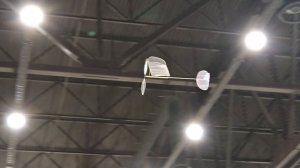 Зальные радиоуправляемые и резиномоторные модели Авиамодельный фестиваль "И небо детям"