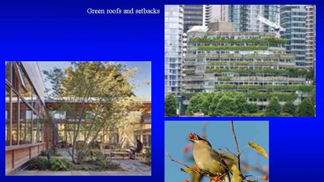 New LEED Standards for Bird-Friendly Design смотреть онлайн