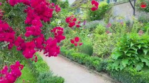 Загородная жизнь в Швейцарии. Швейцарский фермерский дом, Кантон-Тургау