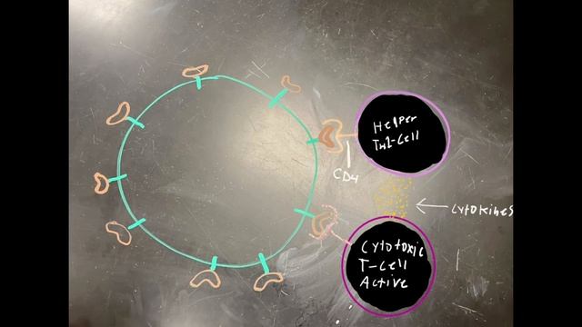 Pathogen In-Cell Mediated Immunity смотреть онлайн