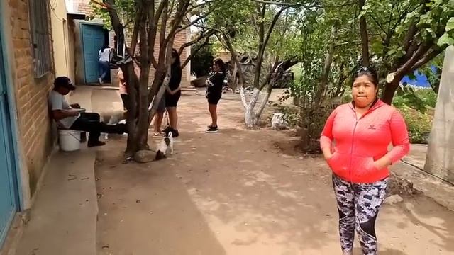 El estado de salud del abuelito es muy delicado смотреть онлайн