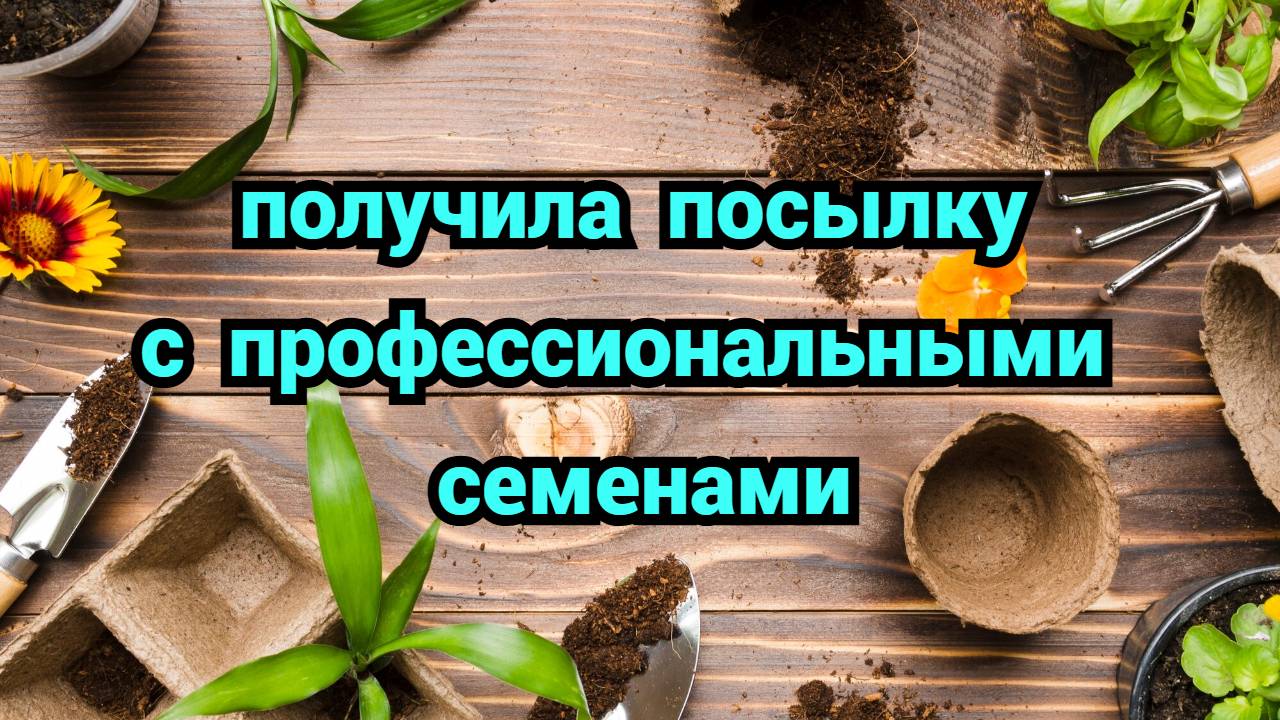 Влог/Что с колеусами/Получила профессиональные семена#семена#сад#огород смотреть онлайн