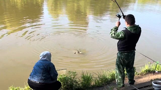 Достойный экземпляр смотреть онлайн