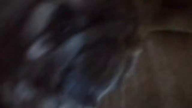 Обзор Мопса дабстеп смотреть онлайн