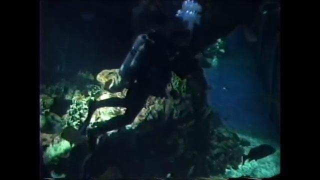 Lords of the Caribbean Sea смотреть онлайн