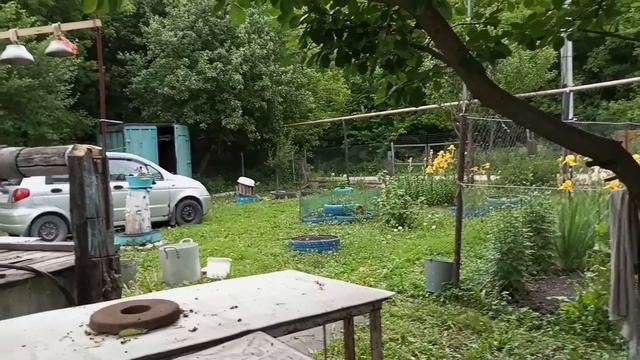 Жизнь в деревне, Наш день, что делаем, События дня смотреть онлайн