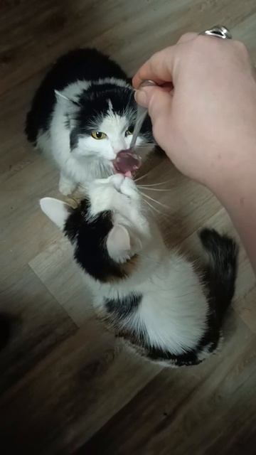 21 марта 2024 г. смотреть онлайн