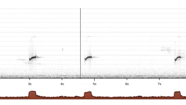 Sýkora uhelníček nahrávka 03 смотреть онлайн