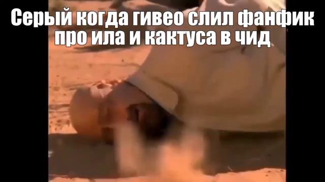 би лайк(студия серого лиса чат) смотреть онлайн