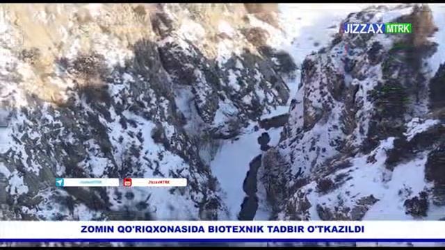 Jizzax Viloyati. Zomin Davlat Qo'riqxonasida Biotеxnik Tadbir O'tkazildi