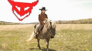 ПОНИ В ПУСТОШАХ