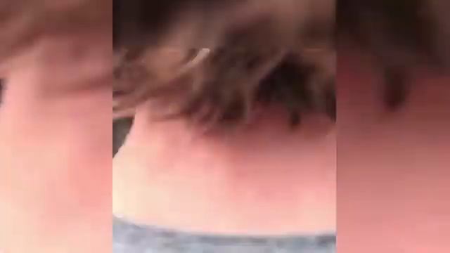 Punish Teacher Who Forced Students to Drown Raccoons & Opossum смотреть онлайн