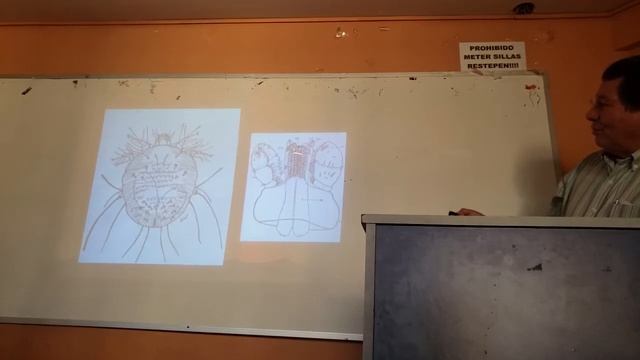 Ácaros y garrapatas de importancia médica смотреть онлайн