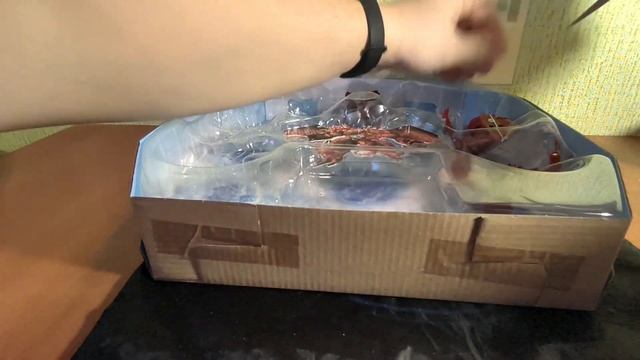Распаковка нового набора Бакуган/Bakugan Geoforge Dragonoid смотреть онлайн