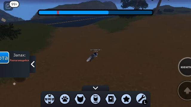 🎃КАК  ОХОТИТЬСЯ В   Warriorcats /  коты-воители //квwariorrwarriorcats /роблокс # хочуактив #