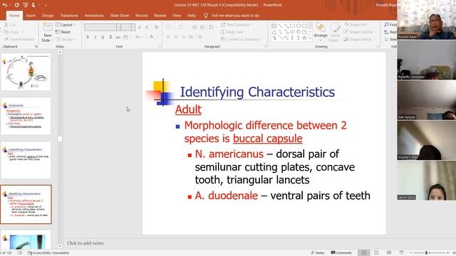 Lecture #23 - Parasitology 4 смотреть онлайн