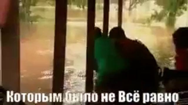 Помоги животным .Будьте людьми. смотреть онлайн