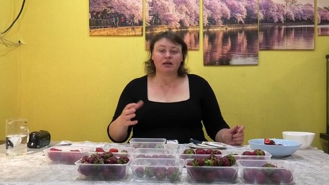 13 серия КЛУБНИКА завершаем измерения брикс