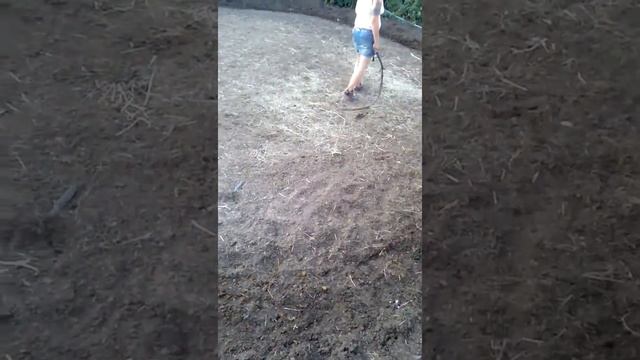 Вика на коне смотреть онлайн