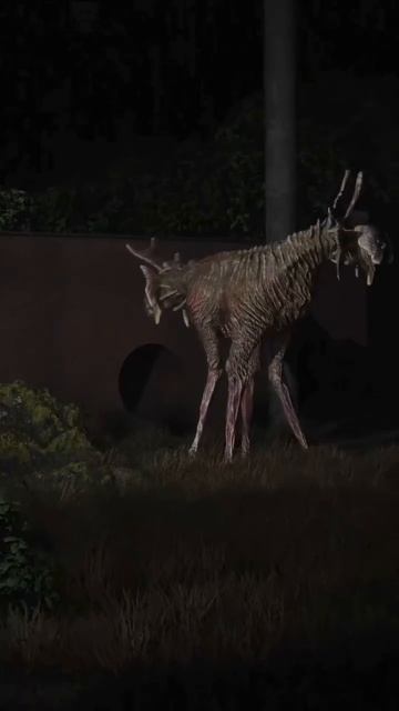 Нечто попало в объектив камеры