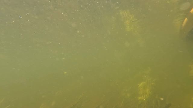 Сплав по реке Сылва от Усть-Кишерть до Чикали.