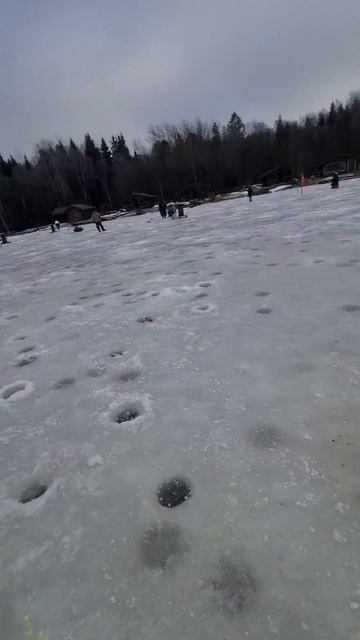 Голец и форель смотреть онлайн