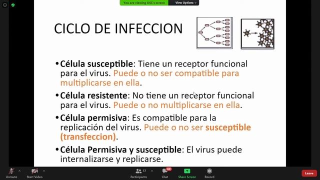 MICROBIOLOGÍA, CLASE 1- SEGUNDO CORTE смотреть онлайн