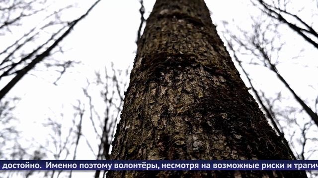 Обнинские новости (за 12 февраля 2025) смотреть онлайн