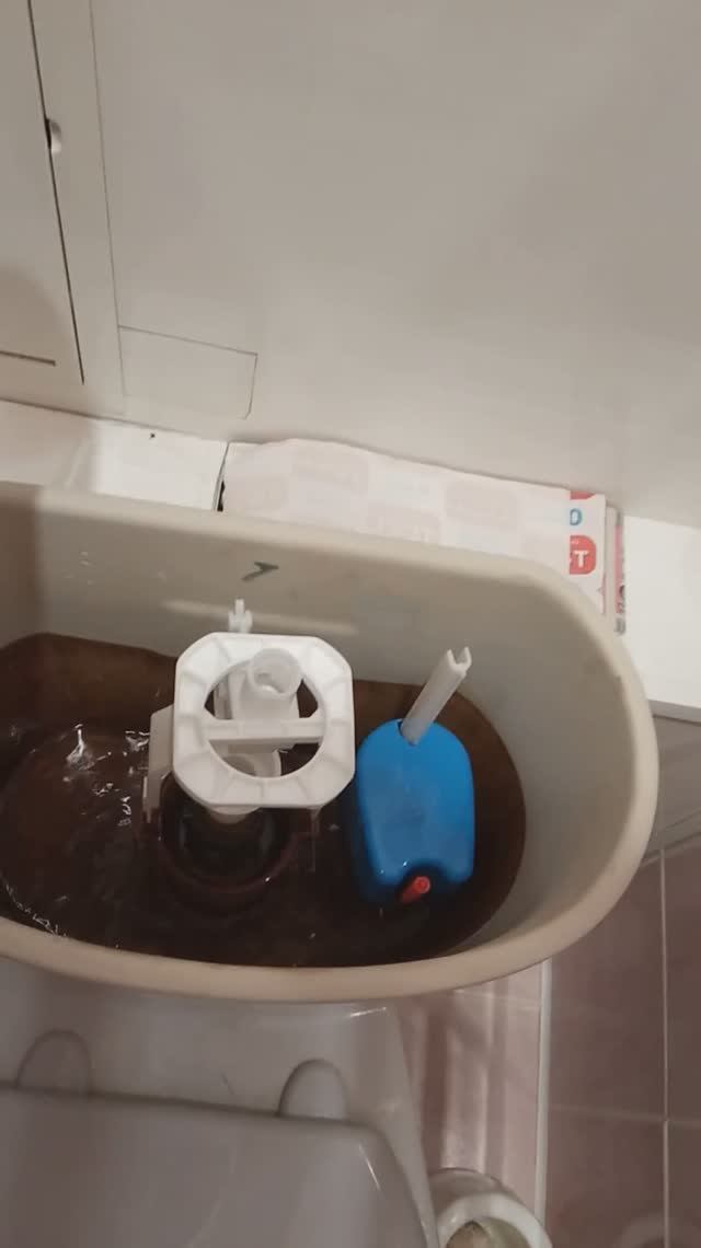 Крышка бачка унитаза: как снять