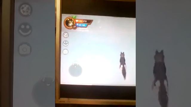 Снежные волки клип смотреть онлайн