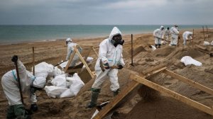 Борьба с мазутом на пляжах Краснодарского края. Десятки новых способов используют для очистки песка