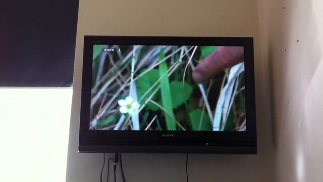 Bidt af naturen смотреть онлайн