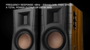 SWAN SPEAKERS D200