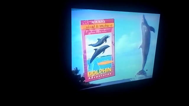 Zeus And Roxanne Vhs Opening смотреть онлайн