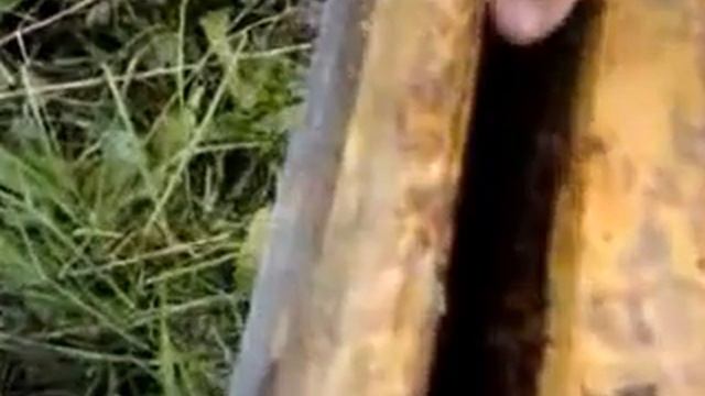 2013 10 26 Бакфаст F1 смотреть онлайн