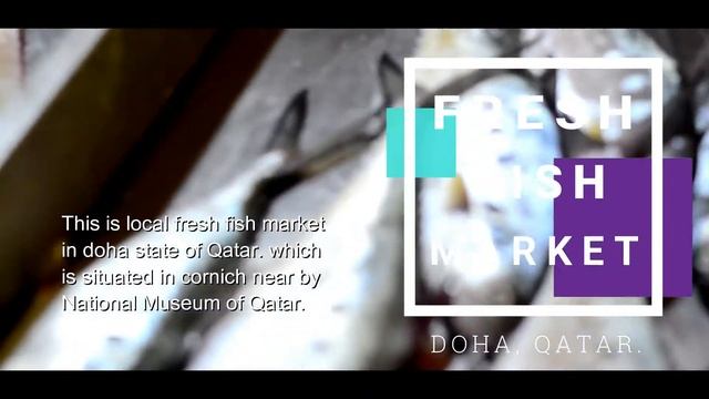 LOCAL FRESH FISH MARKET IN CORNICH DOHA, QATAR. смотреть онлайн
